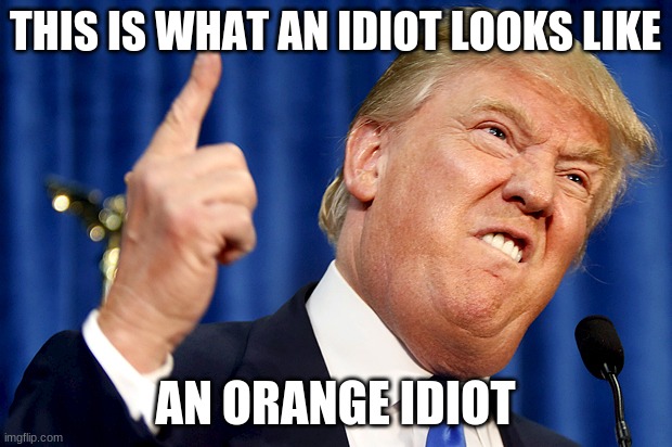 Donald Trump | THIS IS WHAT AN IDIOT LOOKS LIKE; AN ORANGE IDIOT | image tagged in donald trump | made w/ Imgflip meme maker