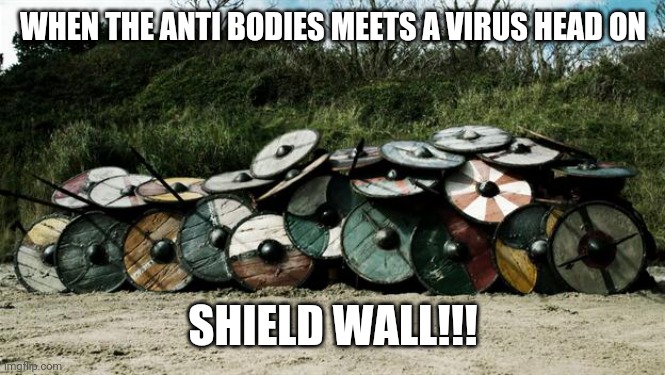 Shield Wall | WHEN THE ANTI BODIES MEETS A VIRUS HEAD ON; SHIELD WALL!!! | image tagged in shield wall | made w/ Imgflip meme maker