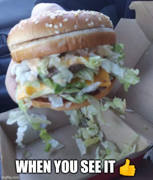 Seriously, we're not even mad, it's all there just forgot the order of ingredients. | WHEN YOU SEE IT 👍 | image tagged in you had one job,bigmac,mcdonalds | made w/ Imgflip meme maker