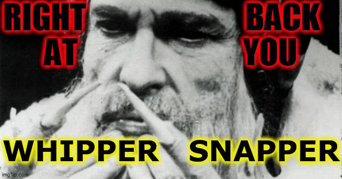 RIGHT                          BACK
   AT                           YOU WHIPPER   SNAPPER | made w/ Imgflip meme maker