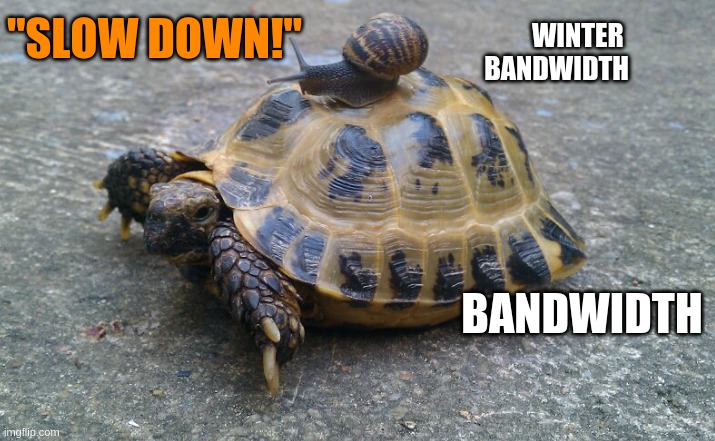 Turtle Snail Warning | "SLOW DOWN!"; WINTER 
BANDWIDTH; BANDWIDTH | image tagged in turtle snail,slow,fast,fight,internet,net | made w/ Imgflip meme maker