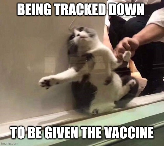 Covid vaccine | BEING TRACKED DOWN; TO BE GIVEN THE VACCINE | image tagged in cat dragged from window,no place to hide | made w/ Imgflip meme maker