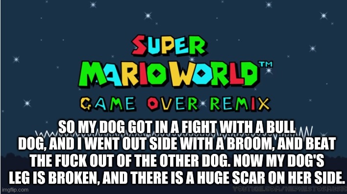 N*ggas FINNA DIE. | SO MY DOG GOT IN A FIGHT WITH A BULL DOG, AND I WENT OUT SIDE WITH A BROOM, AND BEAT THE FUCK OUT OF THE OTHER DOG. NOW MY DOG'S LEG IS BROKEN, AND THERE IS A HUGE SCAR ON HER SIDE. | image tagged in lofi game over | made w/ Imgflip meme maker