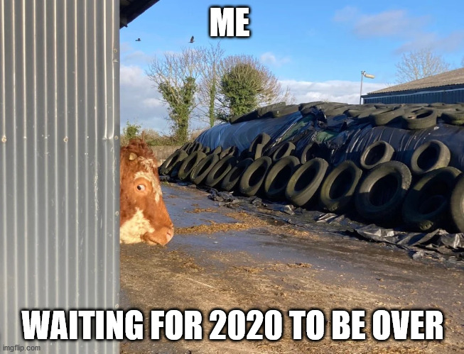 2021 soonTM | ME; WAITING FOR 2020 TO BE OVER | image tagged in peekaboo | made w/ Imgflip meme maker