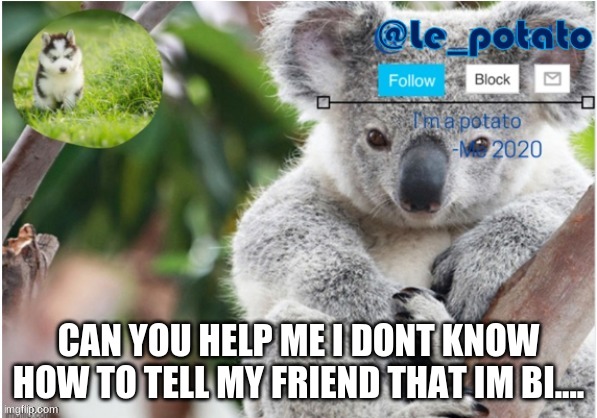 i need help | CAN YOU HELP ME I DONT KNOW HOW TO TELL MY FRIEND THAT IM BI.... | made w/ Imgflip meme maker