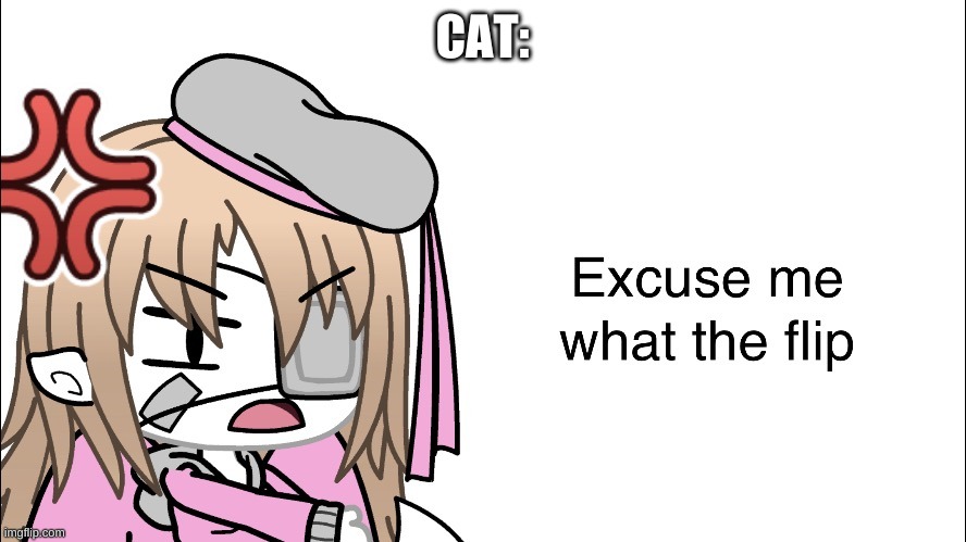 CookieUwU_Memer Excuse me what the flip | CAT: | image tagged in cookieuwu_memer excuse me what the flip | made w/ Imgflip meme maker