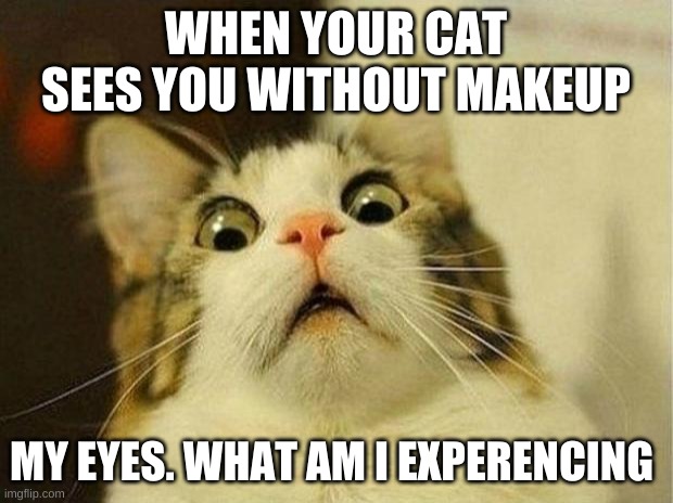 scared cat | WHEN YOUR CAT SEES YOU WITHOUT MAKEUP; MY EYES. WHAT AM I EXPERIENCING | image tagged in memes,scared cat | made w/ Imgflip meme maker