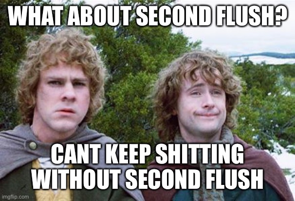 Second Breakfast | WHAT ABOUT SECOND FLUSH? CANT KEEP SHITTING WITHOUT SECOND FLUSH | image tagged in second breakfast,memes | made w/ Imgflip meme maker