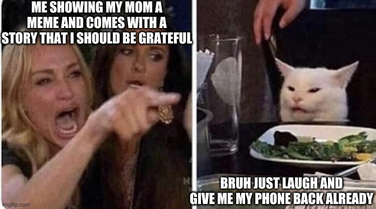 calm down | ME SHOWING MY MOM A MEME AND COMES WITH A STORY THAT I SHOULD BE GRATEFUL; BRUH JUST LAUGH AND GIVE ME MY PHONE BACK ALREADY | image tagged in confused cat screaming lady | made w/ Imgflip meme maker