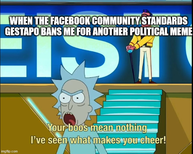 WHEN THE FACEBOOK COMMUNITY STANDARDS GESTAPO BANS ME FOR ANOTHER POLITICAL MEME | image tagged in facebook,rick and morty,censorship | made w/ Imgflip meme maker