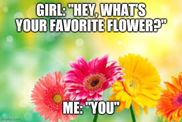 Also, could I have mod please? | GIRL: "HEY, WHAT'S YOUR FAVORITE FLOWER?"; ME: "YOU" | image tagged in flowers | made w/ Imgflip meme maker