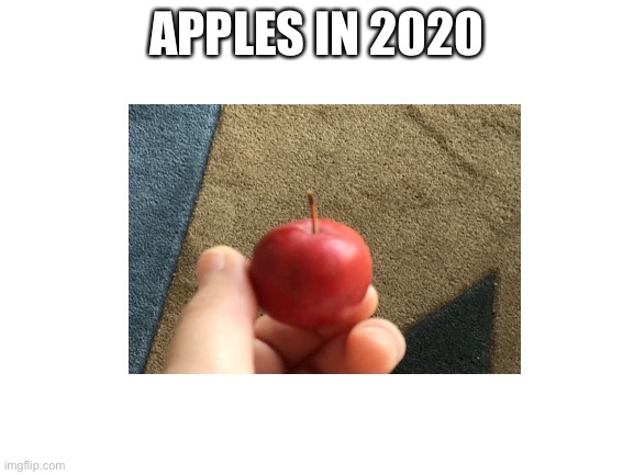 2020=bad | APPLES IN 2020 | image tagged in fun | made w/ Imgflip meme maker