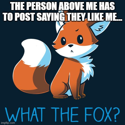 why do i do this to myself??? | THE PERSON ABOVE ME HAS TO POST SAYING THEY LIKE ME... | image tagged in what the fox | made w/ Imgflip meme maker