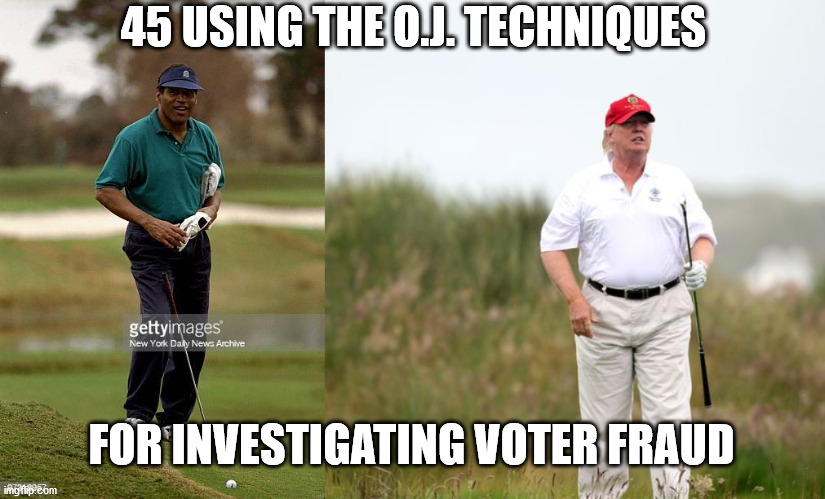 golfing to prove voter fraud | 45 USING THE O.J. TECHNIQUES; FOR INVESTIGATING VOTER FRAUD | image tagged in donald trump,trump,golf,oj simpson,voter fraud | made w/ Imgflip meme maker