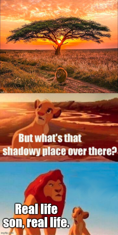 Simba Shadowy Place Meme | Real life son, real life. | image tagged in memes,simba shadowy place | made w/ Imgflip meme maker