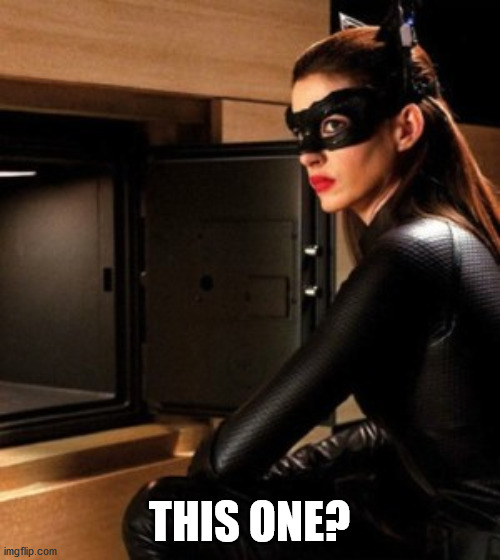 cat woman | THIS ONE? | image tagged in cat woman | made w/ Imgflip meme maker