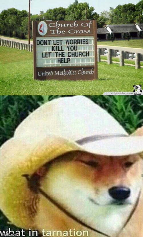 What the heck | image tagged in what in tarnation dog | made w/ Imgflip meme maker