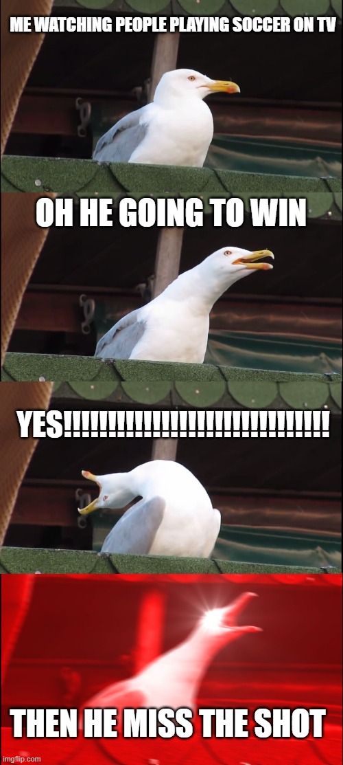 Inhaling Seagull | ME WATCHING PEOPLE PLAYING SOCCER ON TV; OH HE GOING TO WIN; YES!!!!!!!!!!!!!!!!!!!!!!!!!!!!!! THEN HE MISS THE SHOT | image tagged in memes,inhaling seagull | made w/ Imgflip meme maker