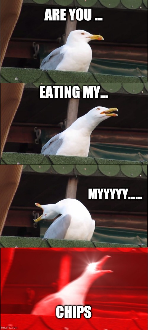 Inhaling Seagull | ARE YOU ... EATING MY... MYYYYY...... CHIPS | image tagged in memes,inhaling seagull,chips | made w/ Imgflip meme maker