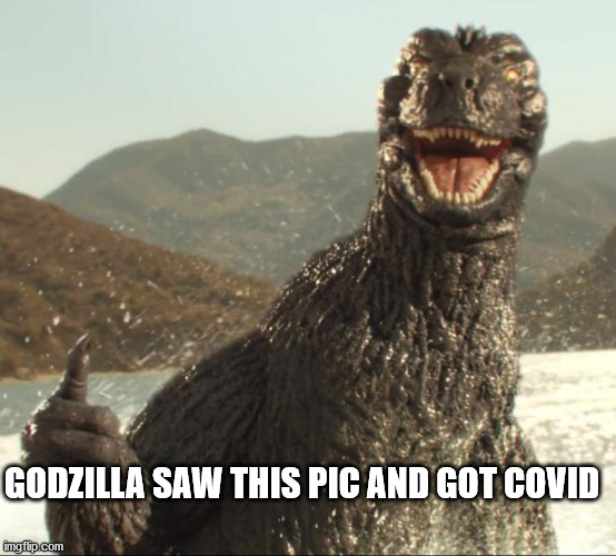 Godzilla approved | GODZILLA SAW THIS PIC AND GOT COVID | image tagged in godzilla approved | made w/ Imgflip meme maker