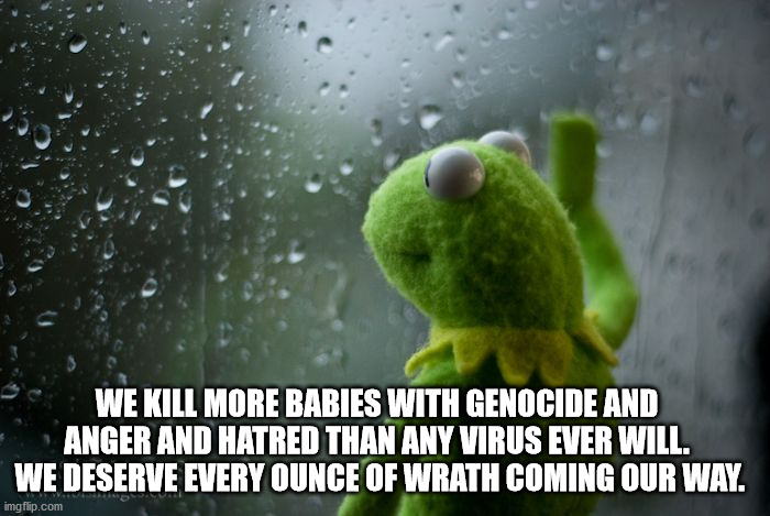 kermit window | WE KILL MORE BABIES WITH GENOCIDE AND ANGER AND HATRED THAN ANY VIRUS EVER WILL.  WE DESERVE EVERY OUNCE OF WRATH COMING OUR WAY. | image tagged in kermit window | made w/ Imgflip meme maker