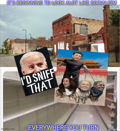 Happy Holidays Nitwit Dems | IT'S BEGINNING TO LOOK ALOT LIKE SOCIALISM; - EVERYWHERE YOU TURN | image tagged in stupid liberals | made w/ Imgflip meme maker