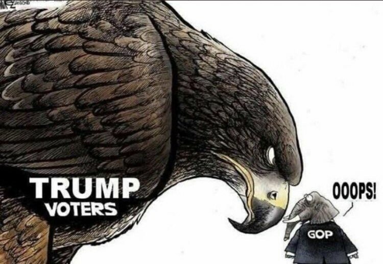 Trump voters cartoon Blank Meme Template