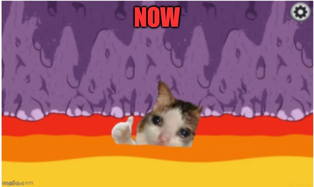 Among Us Crying Cat | NOW | image tagged in among us crying cat | made w/ Imgflip meme maker