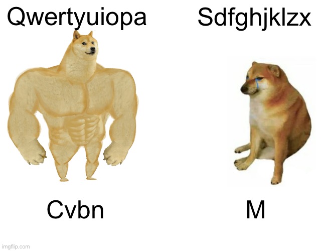 Qwertyuiopasdfghkljzxcnvmb | Qwertyuiopa; Sdfghjklzx; Cvbn; M | image tagged in memes,buff doge vs cheems | made w/ Imgflip meme maker
