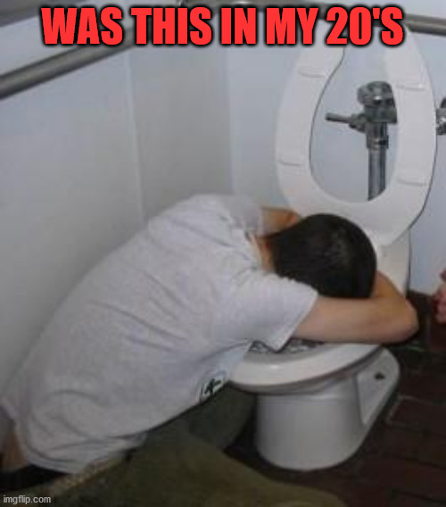 Drunk puking toilet | WAS THIS IN MY 20'S | image tagged in drunk puking toilet | made w/ Imgflip meme maker