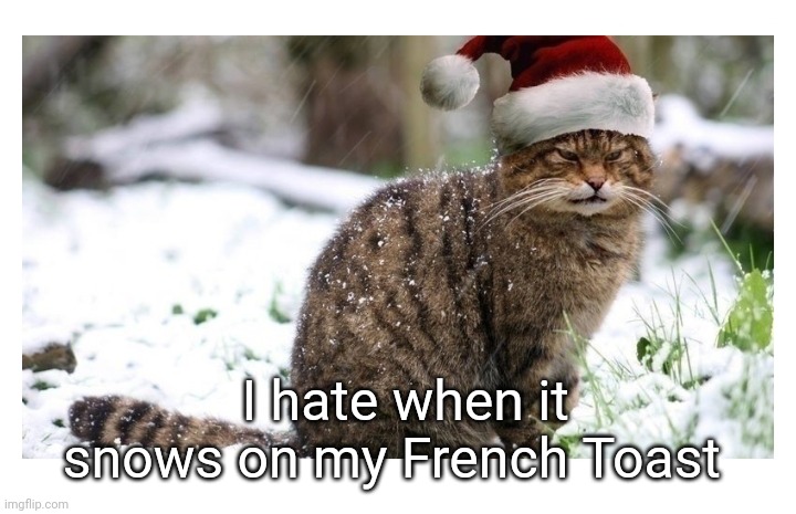 I hate when it snows on my French Toast | image tagged in holidays,cat | made w/ Imgflip meme maker
