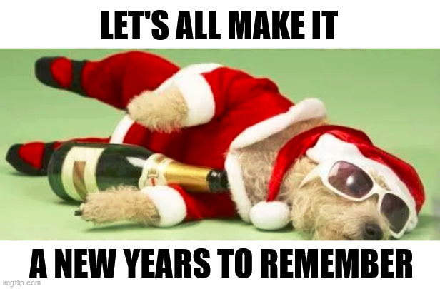 LET'S ALL MAKE IT; A NEW YEARS TO REMEMBER | image tagged in dogs | made w/ Imgflip meme maker