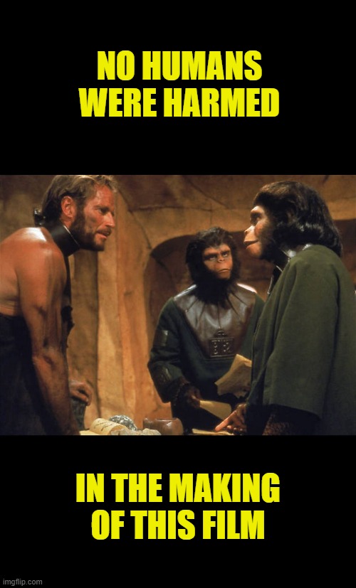 "No Humans Were Harmed in the Making of This Film" | NO HUMANS WERE HARMED; IN THE MAKING OF THIS FILM | image tagged in planet apes | made w/ Imgflip meme maker