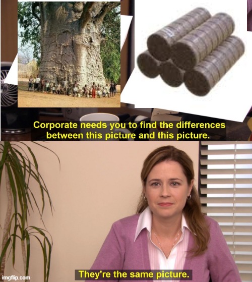 They're The Same Picture Meme | image tagged in memes,they're the same picture | made w/ Imgflip meme maker