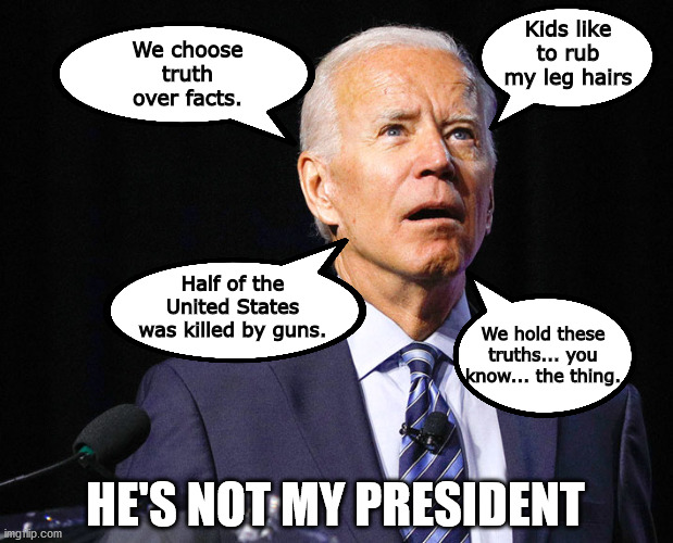So far I haven't voted for a single idiot.  I can't say that about Democrats. | Kids like to rub my leg hairs; We choose truth over facts. Half of the United States was killed by guns. We hold these truths... you know... the thing. HE'S NOT MY PRESIDENT | image tagged in biden,stupid,senile | made w/ Imgflip meme maker