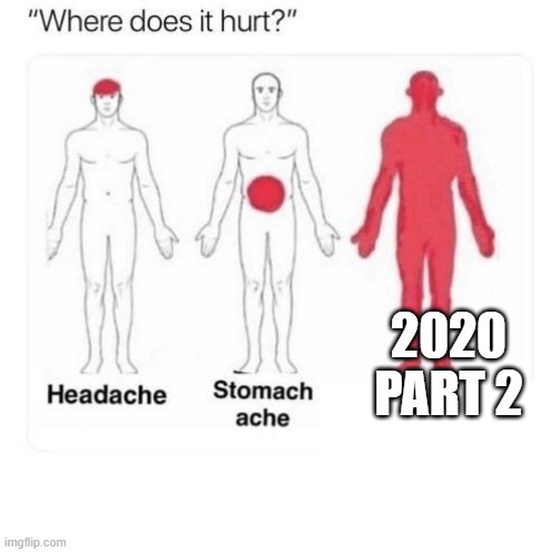 Where does it hurt | 2020 PART 2 | image tagged in where does it hurt | made w/ Imgflip meme maker