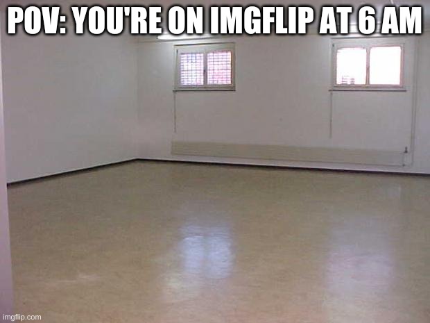 Hello? Anyone there? | POV: YOU'RE ON IMGFLIP AT 6 AM | image tagged in memes,funny,pov,forever alone | made w/ Imgflip meme maker