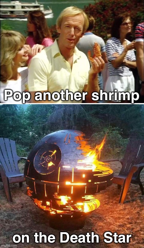 Added to Cart: Death Star Fire Pit! | Pop another shrimp; on the Death Star | image tagged in funny memes,star wars,shrimp on the barbie | made w/ Imgflip meme maker