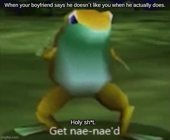 ??? | When your boyfriend says he doesn´t like you when he actually does. Holy sh*t. | image tagged in get nae-nae d | made w/ Imgflip meme maker