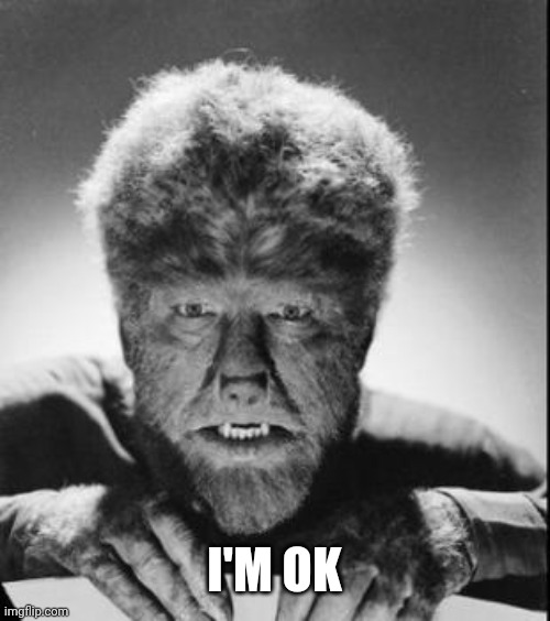 Wolfman | I'M OK | image tagged in wolfman | made w/ Imgflip meme maker