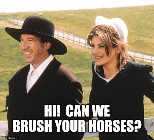 HI!  CAN WE BRUSH YOUR HORSES? | made w/ Imgflip meme maker
