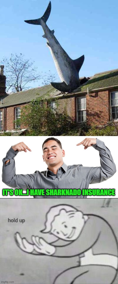 It's better to have it and not need it...am I right? |  IT'S OK...I HAVE SHARKNADO INSURANCE | image tagged in fallout hold up,memes,sharknado,funny,sharks,insurance | made w/ Imgflip meme maker