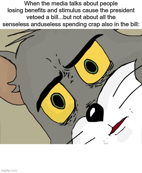 People are Stupid | When the media talks about people losing benefits and stimulus cause the president vetoed a bill...but not about all the senseless anduseless spending crap also in the bill: | image tagged in memes,unsettled tom | made w/ Imgflip meme maker