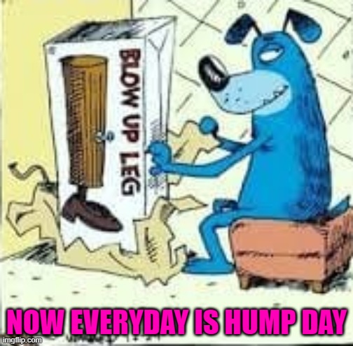 Dogs will be dogs... | NOW EVERYDAY IS HUMP DAY | image tagged in dogs,memes,funny | made w/ Imgflip meme maker