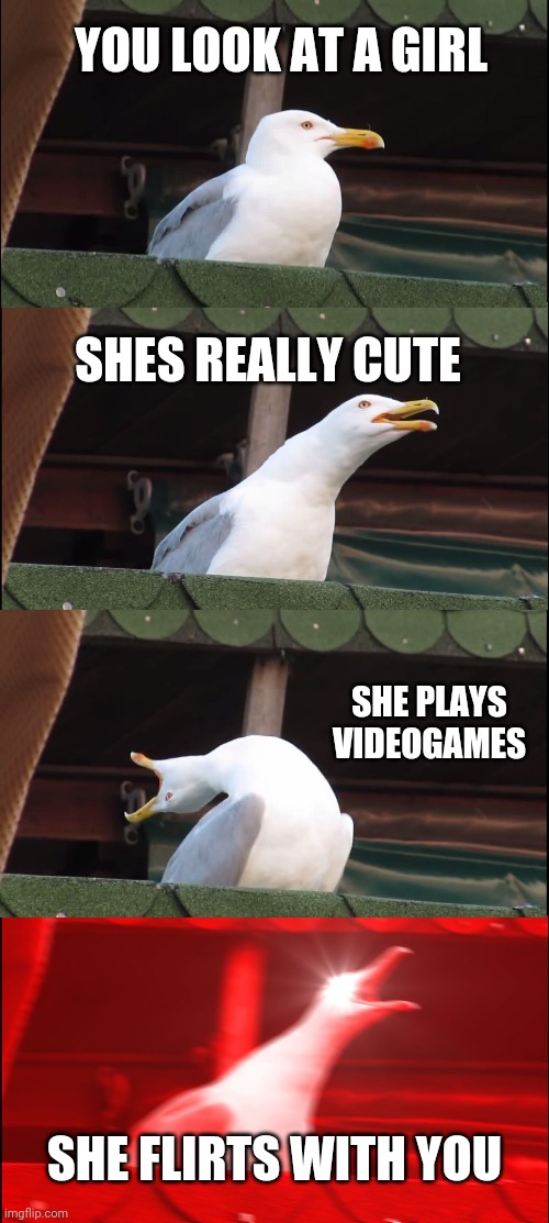 Inhaling Seagull Meme |  YOU LOOK AT A GIRL; SHES REALLY CUTE; SHE PLAYS VIDEOGAMES; SHE FLIRTS WITH YOU | image tagged in memes,inhaling seagull | made w/ Imgflip meme maker