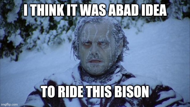 Cold | I THINK IT WAS ABAD IDEA TO RIDE THIS BISON | image tagged in cold | made w/ Imgflip meme maker