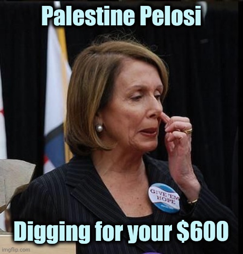 Nancy Pelosi | Palestine Pelosi Digging for your $600 | image tagged in nancy pelosi | made w/ Imgflip meme maker