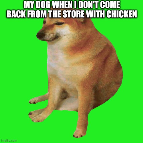 cheems | MY DOG WHEN I DON'T COME BACK FROM THE STORE WITH CHICKEN | image tagged in cheems | made w/ Imgflip meme maker