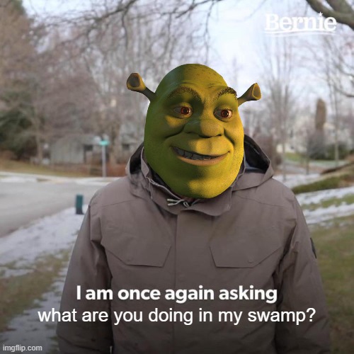 SwAmP | what are you doing in my swamp? | image tagged in memes,bernie i am once again asking for your support | made w/ Imgflip meme maker