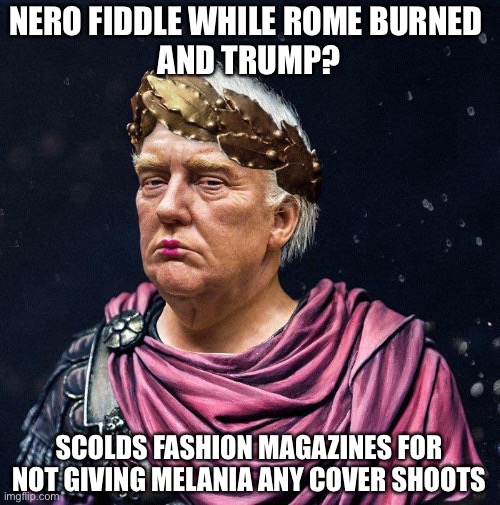 Like a modern day Caligula, Trump ignores American needs to focus on himself | NERO FIDDLE WHILE ROME BURNED 
AND TRUMP? SCOLDS FASHION MAGAZINES FOR NOT GIVING MELANIA ANY COVER SHOOTS | image tagged in donald trump,melania trump,fashion,incompetence,covid19,joe biden | made w/ Imgflip meme maker